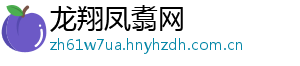 龙翔凤翥网